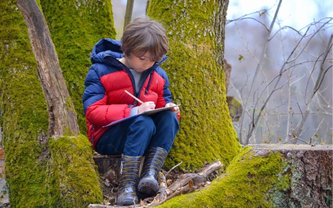 L’école en forêt… effet de mode ou réel intérêt ?