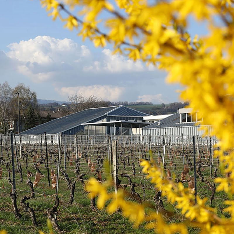 MONT-OLIVET_Cadre-protecteur