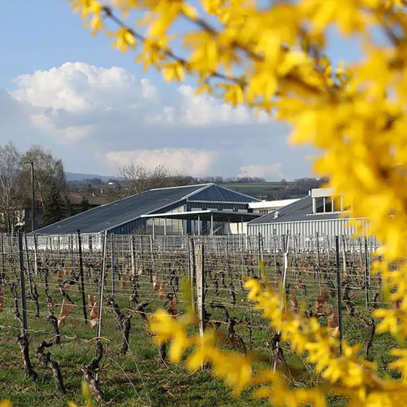 MONT-OLIVET_Cadre-protecteur