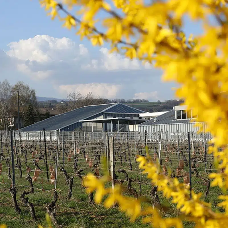 MONT-OLIVET_Cadre-protecteur
